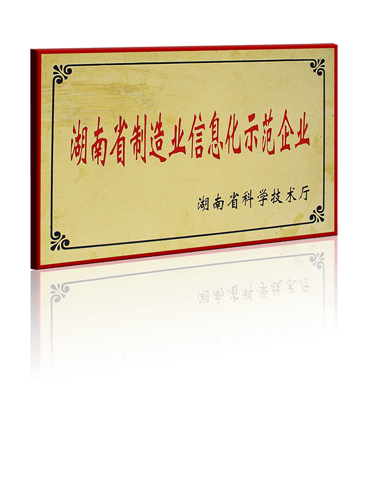 湖南省制造业信息化示范企业